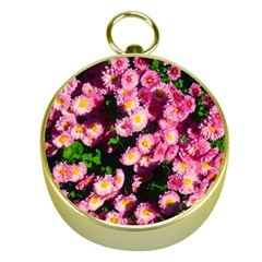 Pink Flower Bushes Gold Compasses by okhismakingart