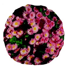 Pink Flower Bushes Large 18  Premium Flano Round Cushions