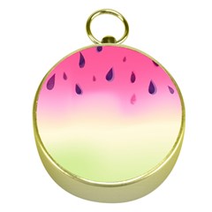 Watermelon Pastel Gradient Pink Watermelon Pastel Gradient Gold Compasses by genx