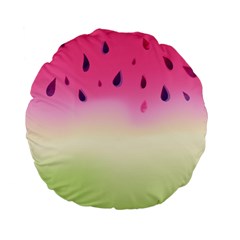 Watermelon Pastel Gradient Pink Watermelon Pastel Gradient Standard 15  Premium Flano Round Cushions by genx