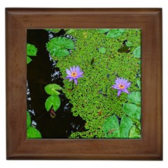 Lily Pond Framed Tiles by okhismakingart