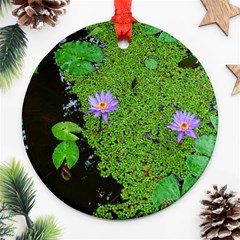 Lily Pond Ornament (round) by okhismakingart