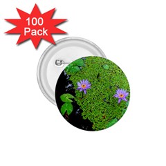 Lily Pond 1 75  Buttons (100 Pack)  by okhismakingart