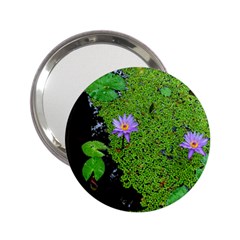 Lily Pond 2 25  Handbag Mirrors by okhismakingart