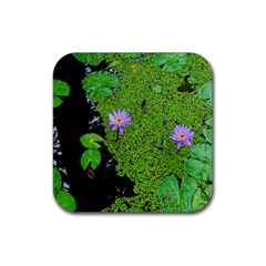 Lily Pond Rubber Coaster (square)  by okhismakingart