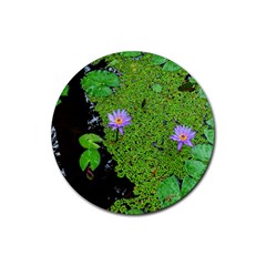 Lily Pond Rubber Coaster (round)  by okhismakingart