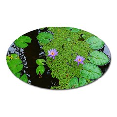 Lily Pond Oval Magnet by okhismakingart