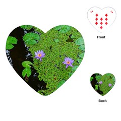 Lily Pond Playing Cards (heart) by okhismakingart