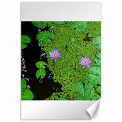 Lily Pond Canvas 12  X 18  by okhismakingart