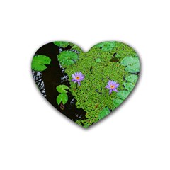 Lily Pond Heart Coaster (4 Pack)  by okhismakingart