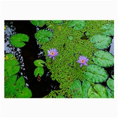 Lily Pond Large Glasses Cloth by okhismakingart