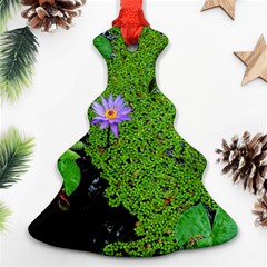 Lily Pond Christmas Tree Ornament (two Sides) by okhismakingart