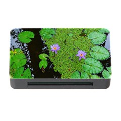 Lily Pond Memory Card Reader With Cf by okhismakingart