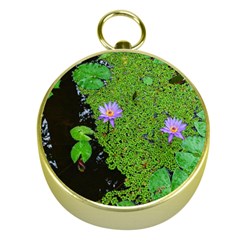 Lily Pond Gold Compasses by okhismakingart