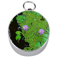 Lily Pond Silver Compasses