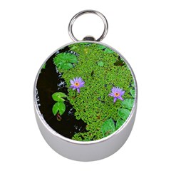 Lily Pond Mini Silver Compasses by okhismakingart