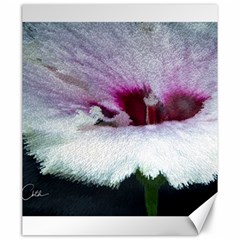 Hibiscus Flower Canvas 20  X 24  (unframed) by Cbth