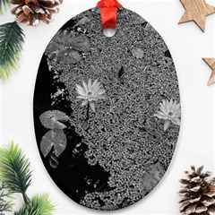 Black And White Lily Pond Ornament (oval) by okhismakingart