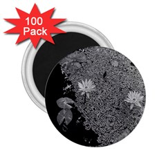 Black And White Lily Pond 2 25  Magnets (100 Pack)  by okhismakingart