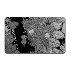 Black And White Lily Pond Magnet (rectangular) by okhismakingart