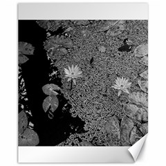 Black And White Lily Pond Canvas 11  X 14  by okhismakingart