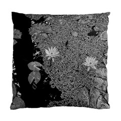 Black And White Lily Pond Standard Cushion Case (two Sides) by okhismakingart