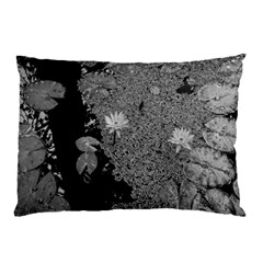 Black And White Lily Pond Pillow Case (two Sides) by okhismakingart