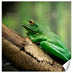 Frog Pixels Canvas 16  X 16  (unframed) by Cbth