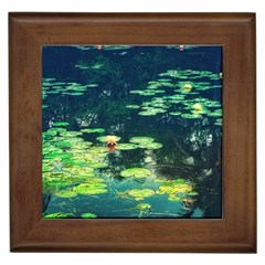 Lily Pond Ii Framed Tiles by okhismakingart