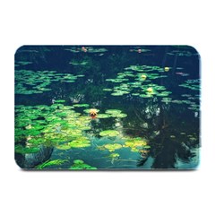 Lily Pond Ii Plate Mats by okhismakingart