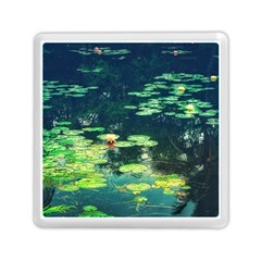 Lily Pond Ii Memory Card Reader (square) by okhismakingart