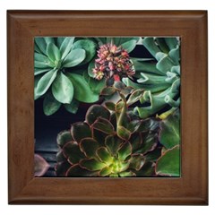 Succulents Framed Tiles by okhismakingart