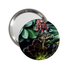 Succulents 2 25  Handbag Mirrors by okhismakingart