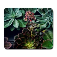 Succulents Large Mousepads by okhismakingart