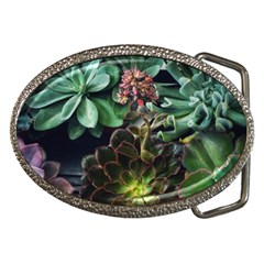 Succulents Belt Buckles by okhismakingart