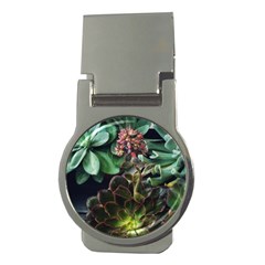 Succulents Money Clips (round)  by okhismakingart