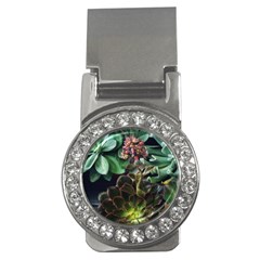 Succulents Money Clips (cz)  by okhismakingart