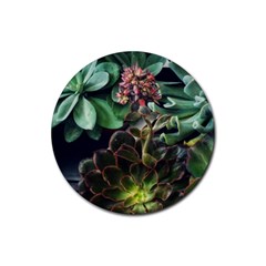 Succulents Rubber Coaster (round)  by okhismakingart