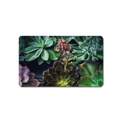 Succulents Magnet (name Card) by okhismakingart