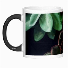 Succulents Morph Mugs by okhismakingart