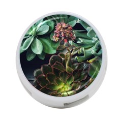 Succulents 4-port Usb Hub (two Sides) by okhismakingart