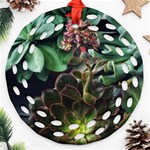 Succulents Ornament (Round Filigree) Front