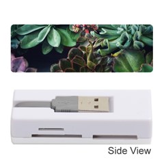 Succulents Memory Card Reader (stick) by okhismakingart