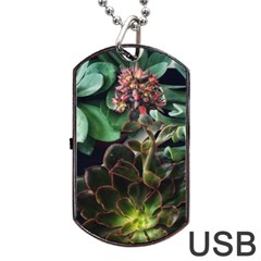 Succulents Dog Tag Usb Flash (two Sides) by okhismakingart