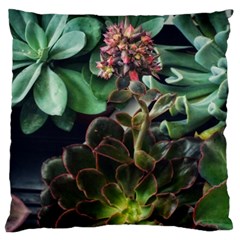 Succulents Large Cushion Case (two Sides) by okhismakingart