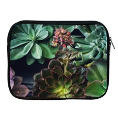 Succulents Apple Ipad 2/3/4 Zipper Cases by okhismakingart