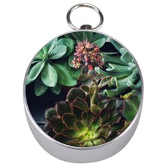 Succulents Silver Compasses by okhismakingart