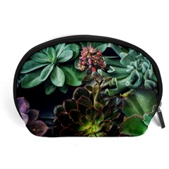 Succulents Accessory Pouch (large) by okhismakingart