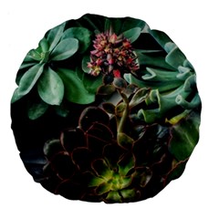 Succulents Large 18  Premium Flano Round Cushions by okhismakingart