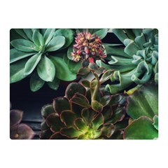 Succulents Double Sided Flano Blanket (mini)  by okhismakingart